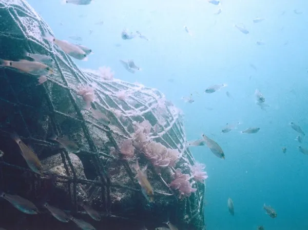 Subsea pipeline protection with rock bags