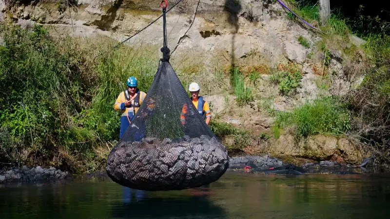 River and bridge revetment with rock bags in New Zealand — photo 8