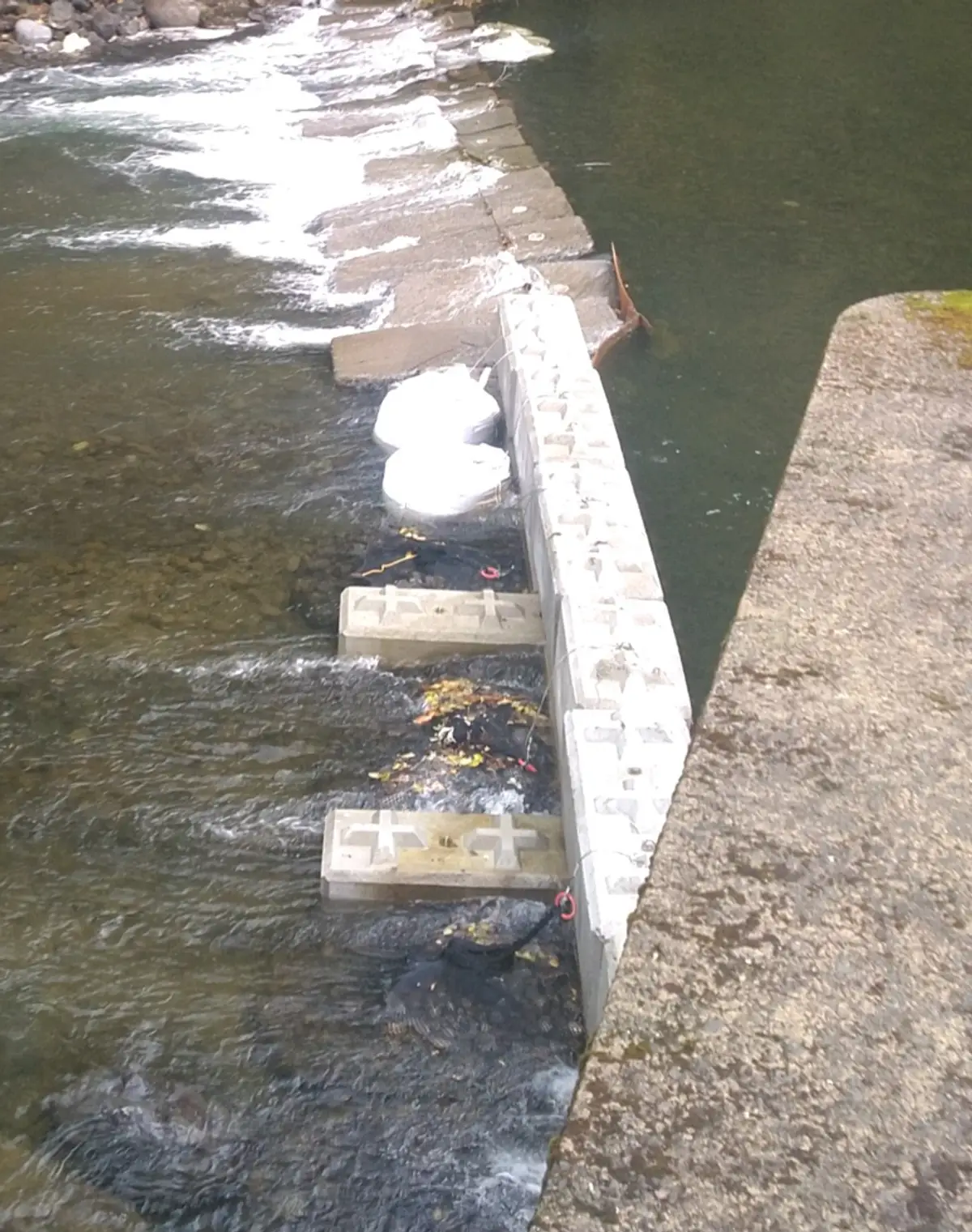 Washington DFW temporary weir at Sol Duc