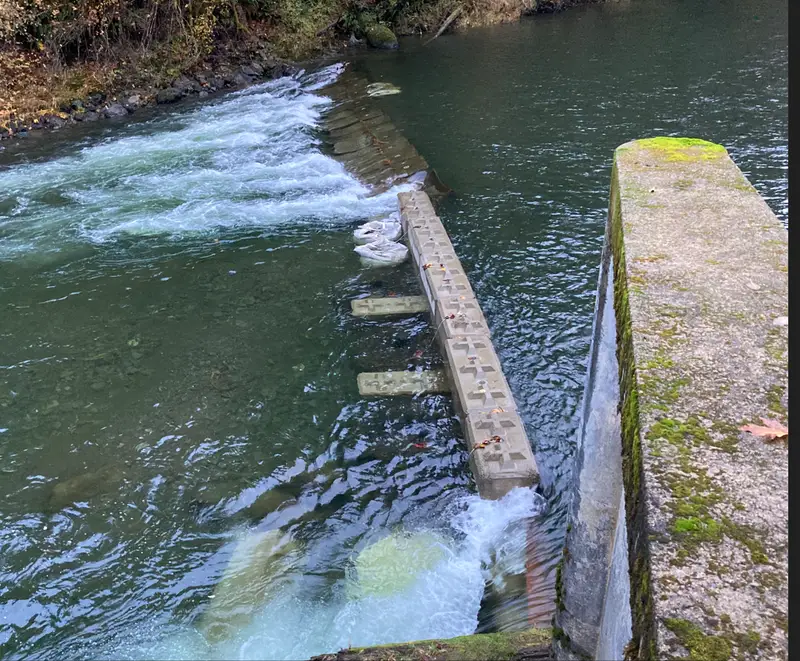 Washington DFW temporary weir at Sol Duc built with rock bags — photo 2