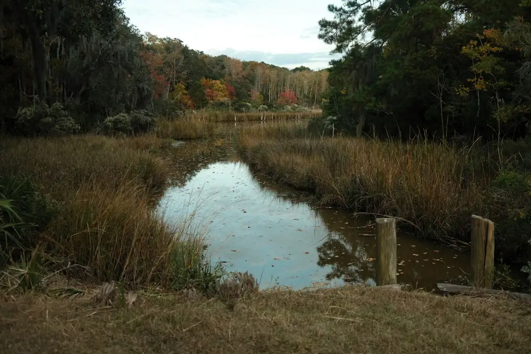 Municipal Stormwater Channels & Ponds